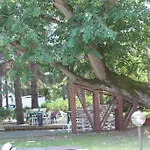 Хотел Хотел Диана