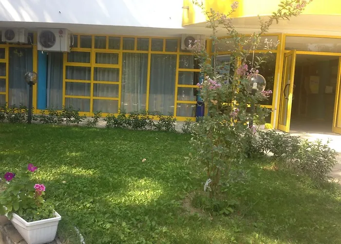 Diana Hotel 酒店 2*