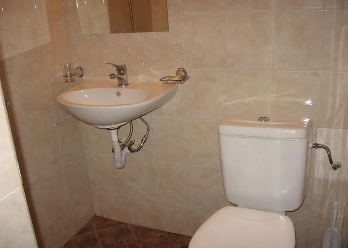 酒店 Diana Hotel 2*