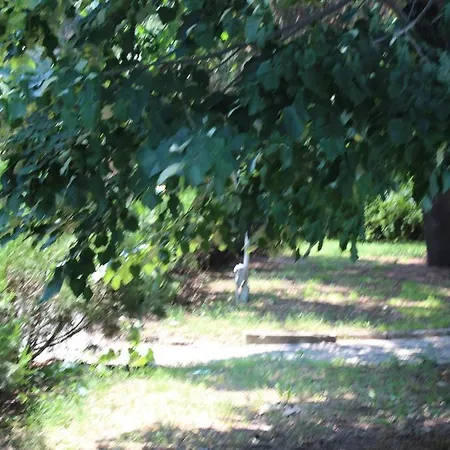 Diana Hotel Złote Piaski