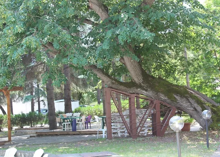 מלון Diana Hotel